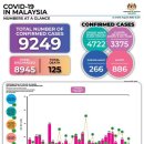 [COVID-19] 8월 21일 말레이시아 상황: 신규: +9명 (누적 확진자: 9,249명 / 사망: 125명) 이미지