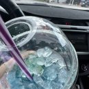 연생정