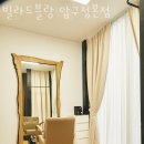 빌라드 블랑 이미지
