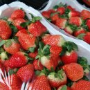 당골농장 이미지