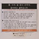 홍당무분식 | 제주 맛집 홍당무떡볶이 분식이라기엔 고급요리