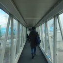 유로직항