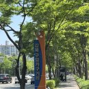 대구 칠곡 가구 가구장터 동서가구 방문후기