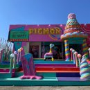 피그몬도넛 | 파주 아이와 가볼만한 곳 추천, 감성 카페 피그몬도넛&amp;버거 솔직 후기 🍩