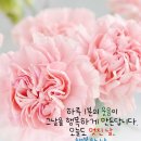 토요일 이미지