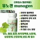 제이플로라 네이버블로그