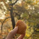 명덕여고 | 콩고물 꽈배기 발산점 후기 – 명덕여고 앞 길거리 간식