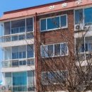 울진봄날애햇살 이미지