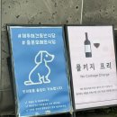 제주흑돼지맛집 중문모메든식당 애견동반가능