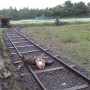 광평회관 이미지