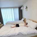 다볼펜션 | 강원도 양양 감성펜션 지오파인트리 아이랑 함께한 후기