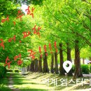 엠스터디학원 이미지