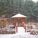 국립희리산해송자연휴양림 이미지