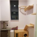 캣츠호텔 이미지