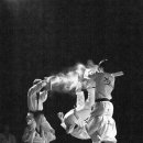 가온누리태권도 이미지