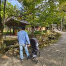 하동불교사 | 경남 하동 가볼만한곳 쌍계사