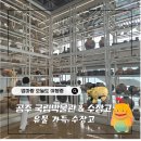 나비화장실(문화유물전시관 옆) | 만한곳) 엄마와 국립공주박물관 다녀온 솔직후기 — 무령왕릉 국보 유물부터 웅장한 '수장고' 포토존까지!