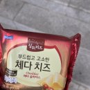 (목) 써니김밥 | 7) 같이 걷자 난 다 궁금해