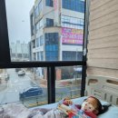 샘물아동소아청소년과의원 네이버블로그