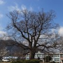 한재초등학교 이미지