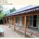 대벌농장 Daum카페