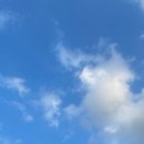 수목원치과의원 이미지