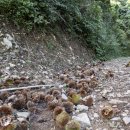 펜션하바별시 이미지