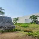 우든하우스양양 | 제주 구좌 스누피 가든 관람 후기, 넓은 만큼 긴 시간이었지만 다시 가고 싶은 곳