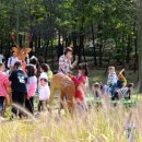 인천나비공원 이미지