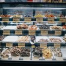 구가의 견 이미지