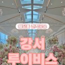 화곡로68길 | 루이비스 강서 웨딩홀 : 내 마음속 1순위 신상 밝은 홀 웨딩홀 투어 후기(견적공유 O) (최종 계약 x)