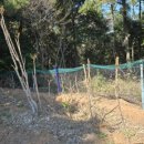 통영의봄민박 이미지