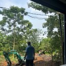 성원파우다 이미지