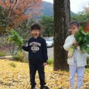 서촌초교병설 이미지