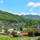 한길동물병원 이미지