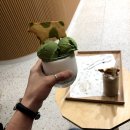 데일리목장 | 서울 샤로수길디저트카페 말차 더치베이비 데일리오아시스
