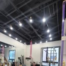 바디밸런스 컴퍼니 이미지