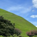 경주 2박3일 여행 가볼만한 곳 (경주월드, 동궁과 월지, 대릉원)