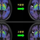 에스바이오 이미지