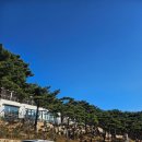 파인트리비 | 파인 포레스트, 언양 카페, 울산 울주군 대형 카페