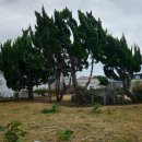 광령지석묘 6호 이미지