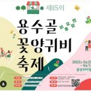 원주 용수골꽃양귀비축제 이미지