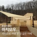 나무그늘 밑의 휴식 | 용인 마지모우 : 사막으로 여행 온 것 같은 카페｜주차 정보