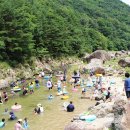 장령산자연휴양림 티스토리