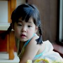 섬횟집 이미지