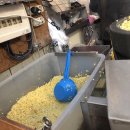 광장60호 이미지