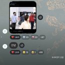 개이쁨 | 킹누랑 카디 보고 옴