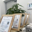 (주)아사힘 일산지점 | 어깨통증 재활 운동치료 해보기 : 약물에 의존하지 말고 운동처방을 받아 보자! (feat. 아사힘일산지점)