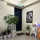 일구구이 이미지