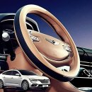 I.B 소프트 이미지